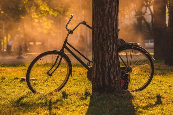 A Bike Behind a Tree