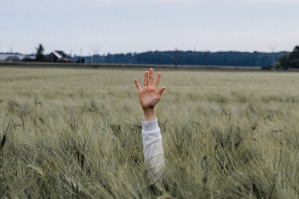 A Hand Raised in a Field